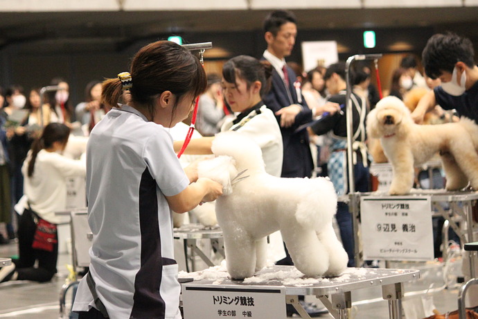 トピックス 全国トリミング 家庭犬訓練競技会が開催されました 中央動物専門学校